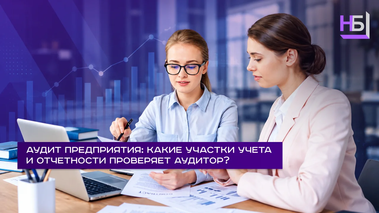Аудит предприятия какие участки учета и отчетности проверяет аудитор